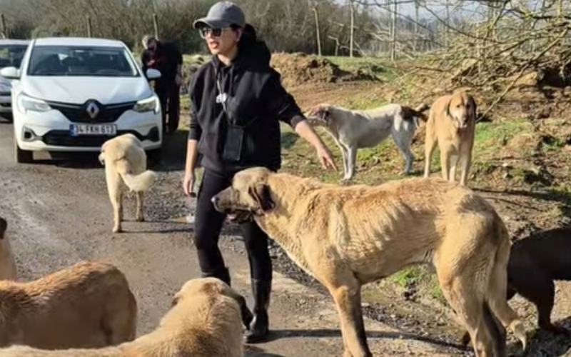 Orman Beslemesi Yaptık!